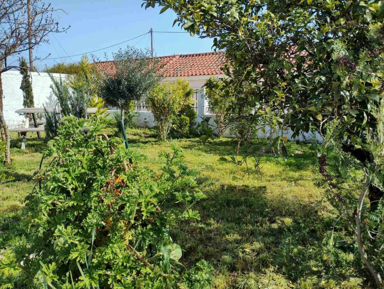 Nafplio Cottage-Grandma'S Yard Asíni Dış mekan fotoğraf